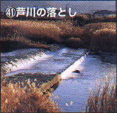 41.����̗��Ƃ�